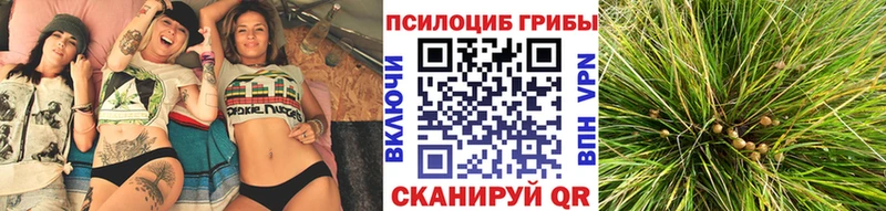 Псилоцибиновые грибы ЛСД  МЕГА рабочий сайт  Ивантеевка 