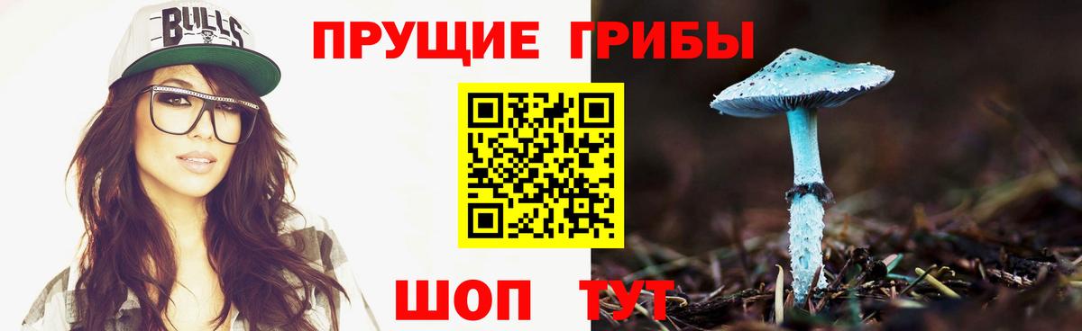 Псилоцибиновые грибы Magic Shrooms Ивантеевка